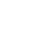 Astro Icon